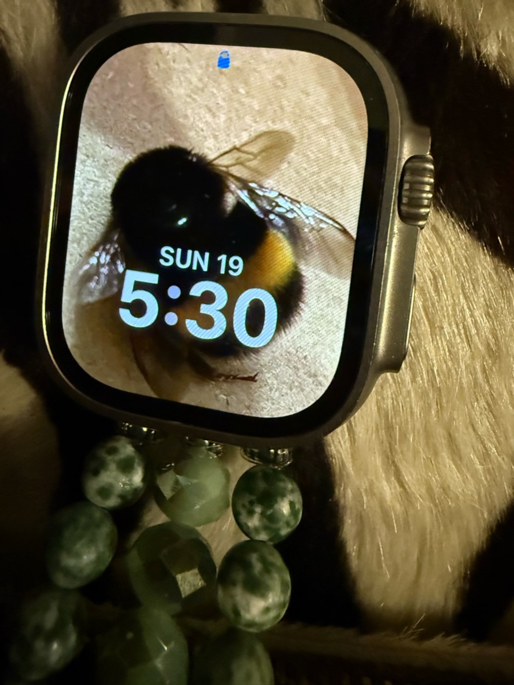 Apple Ultra 2 Smartwatch